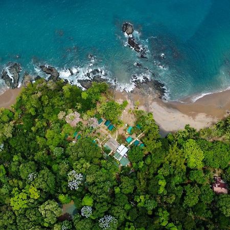 Hostel Corcovado Adventures Drake Bay Zewnętrze zdjęcie