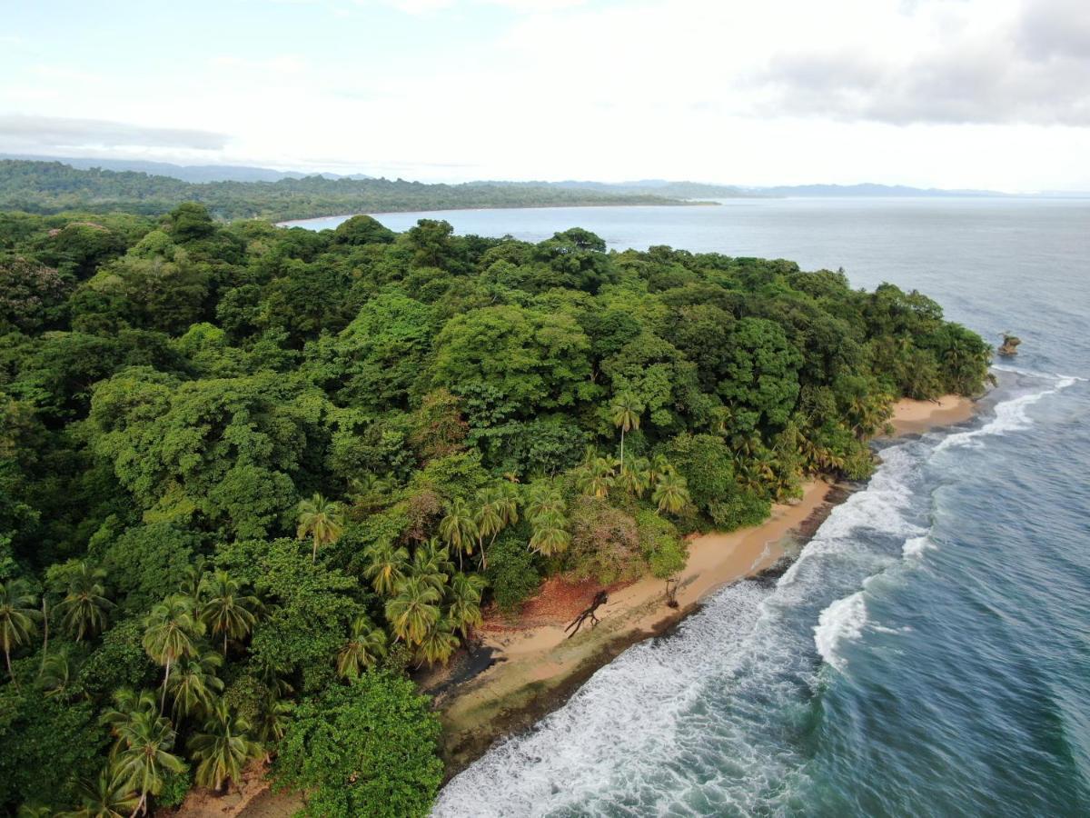 Hostel Corcovado Adventures Drake Bay Zewnętrze zdjęcie