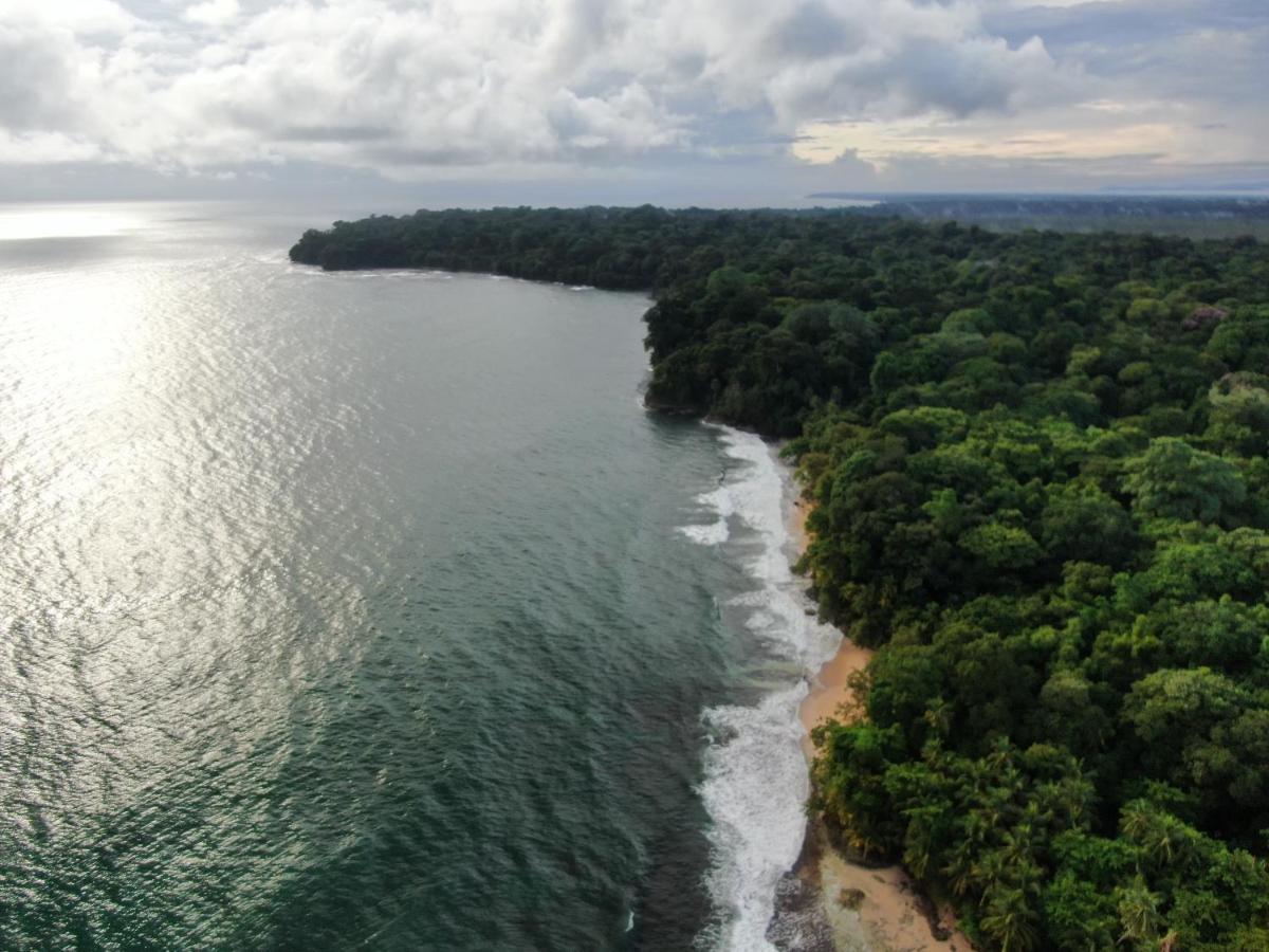 Hostel Corcovado Adventures Drake Bay Zewnętrze zdjęcie