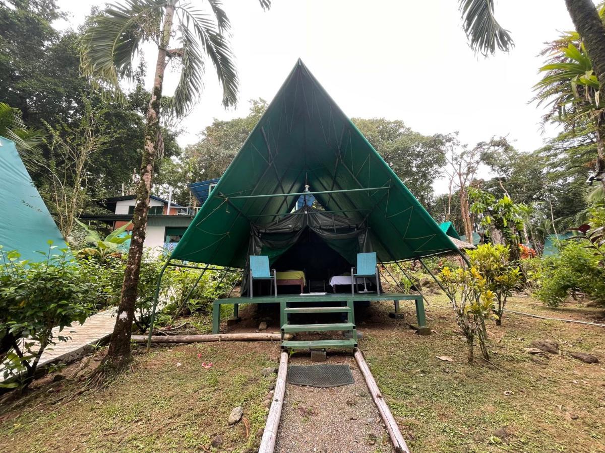 Hostel Corcovado Adventures Drake Bay Zewnętrze zdjęcie