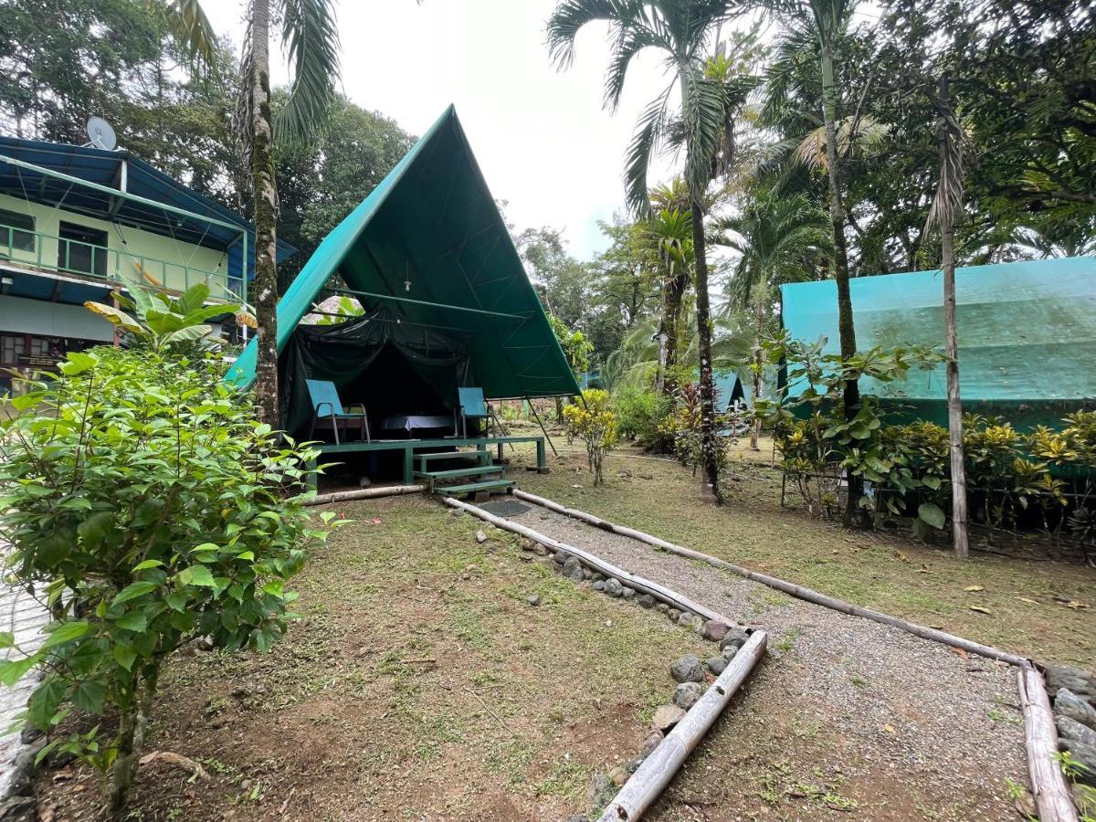 Hostel Corcovado Adventures Drake Bay Zewnętrze zdjęcie