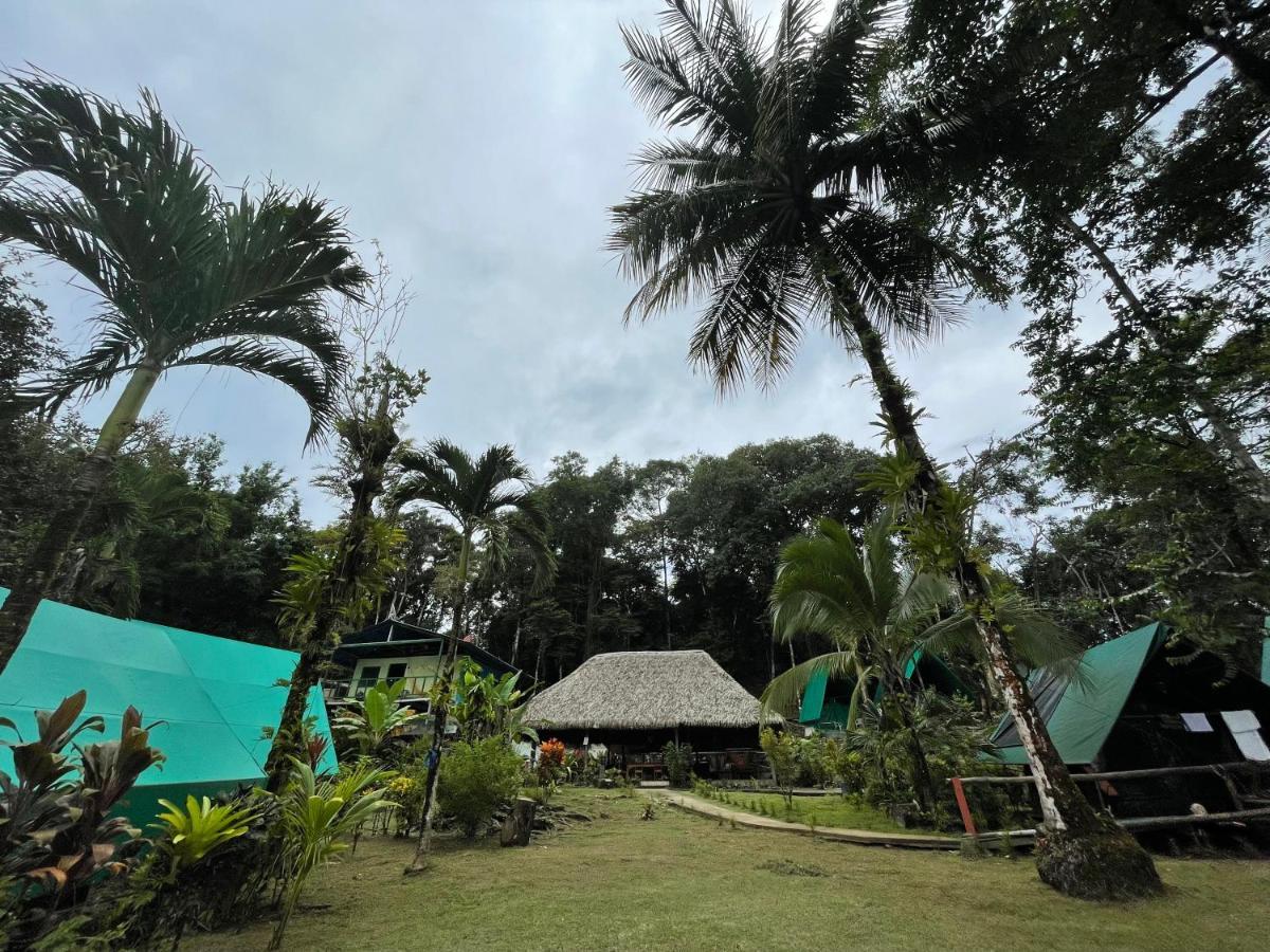 Hostel Corcovado Adventures Drake Bay Zewnętrze zdjęcie