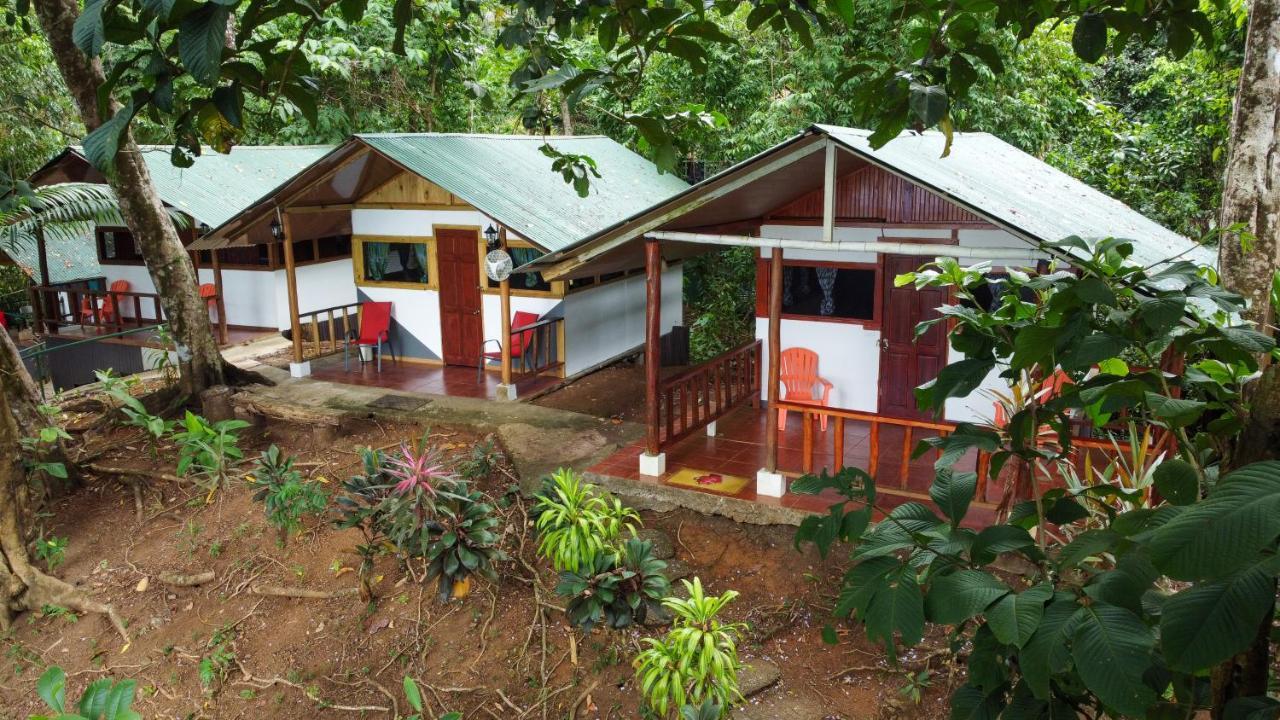 Hostel Corcovado Adventures Drake Bay Zewnętrze zdjęcie
