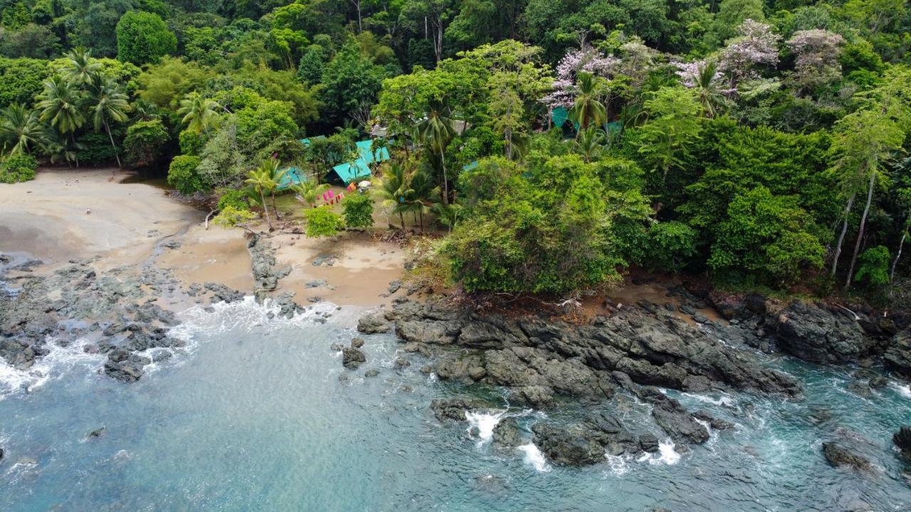 Hostel Corcovado Adventures Drake Bay Zewnętrze zdjęcie