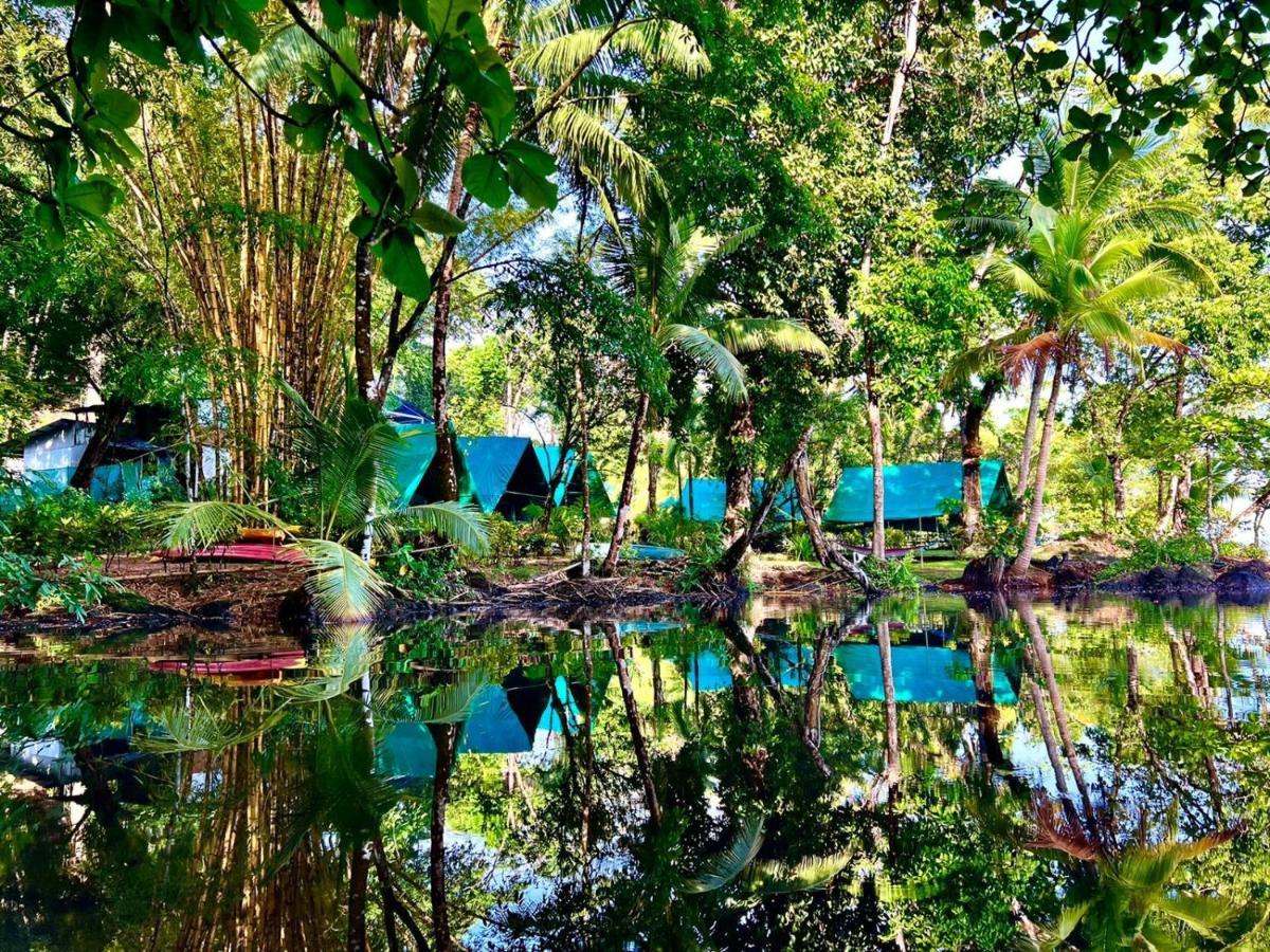 Hostel Corcovado Adventures Drake Bay Zewnętrze zdjęcie