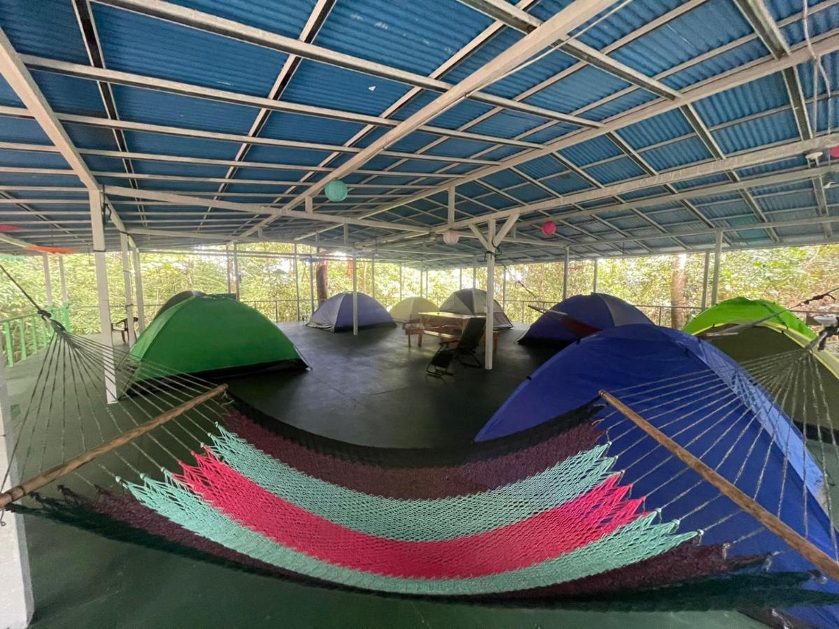 Hostel Corcovado Adventures Drake Bay Zewnętrze zdjęcie