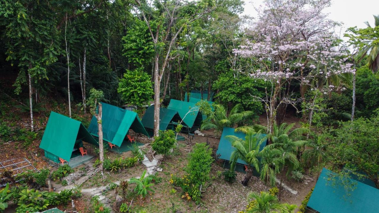 Hostel Corcovado Adventures Drake Bay Zewnętrze zdjęcie