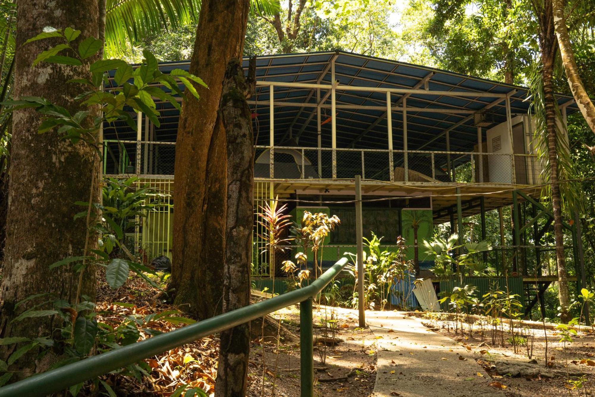 Hostel Corcovado Adventures Drake Bay Zewnętrze zdjęcie