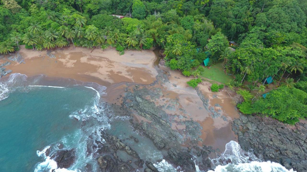 Hostel Corcovado Adventures Drake Bay Zewnętrze zdjęcie
