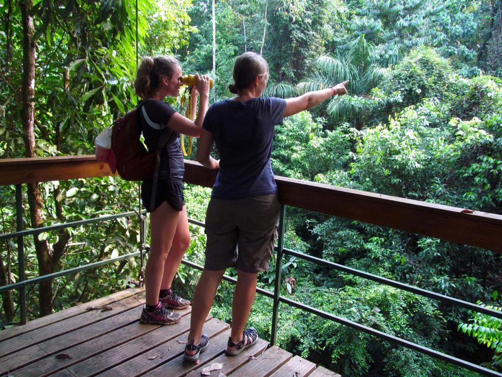 Hostel Corcovado Adventures Drake Bay Zewnętrze zdjęcie