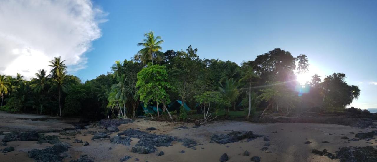 Hostel Corcovado Adventures Drake Bay Zewnętrze zdjęcie